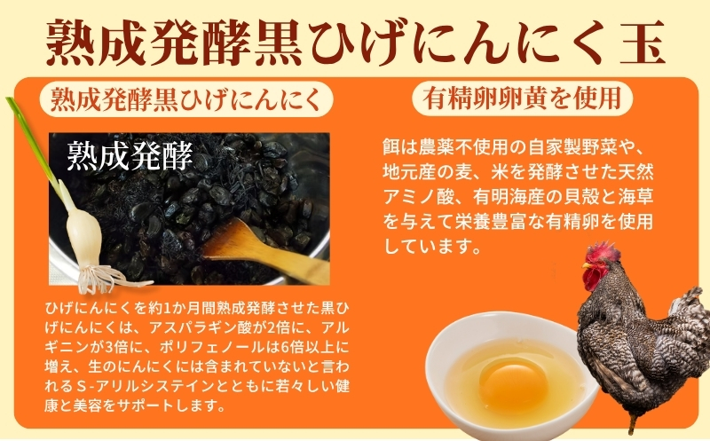 【ポスト投函】ひげにんにくの伝統製法 選べる2種セット（熟成発酵黒ひげにんにく・発芽ひげにんにく）：B115-037 2袋セット