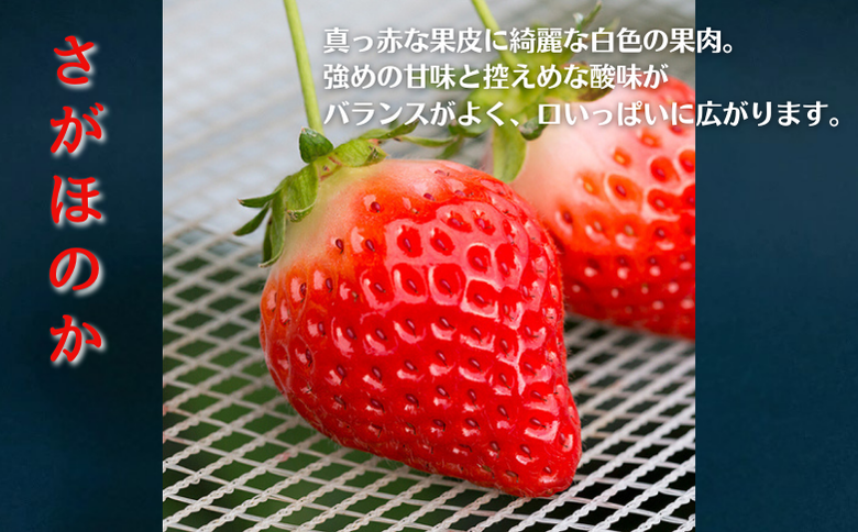 佐賀県産いちご さがほのか＆パールホワイト 紅白セット：B140-008