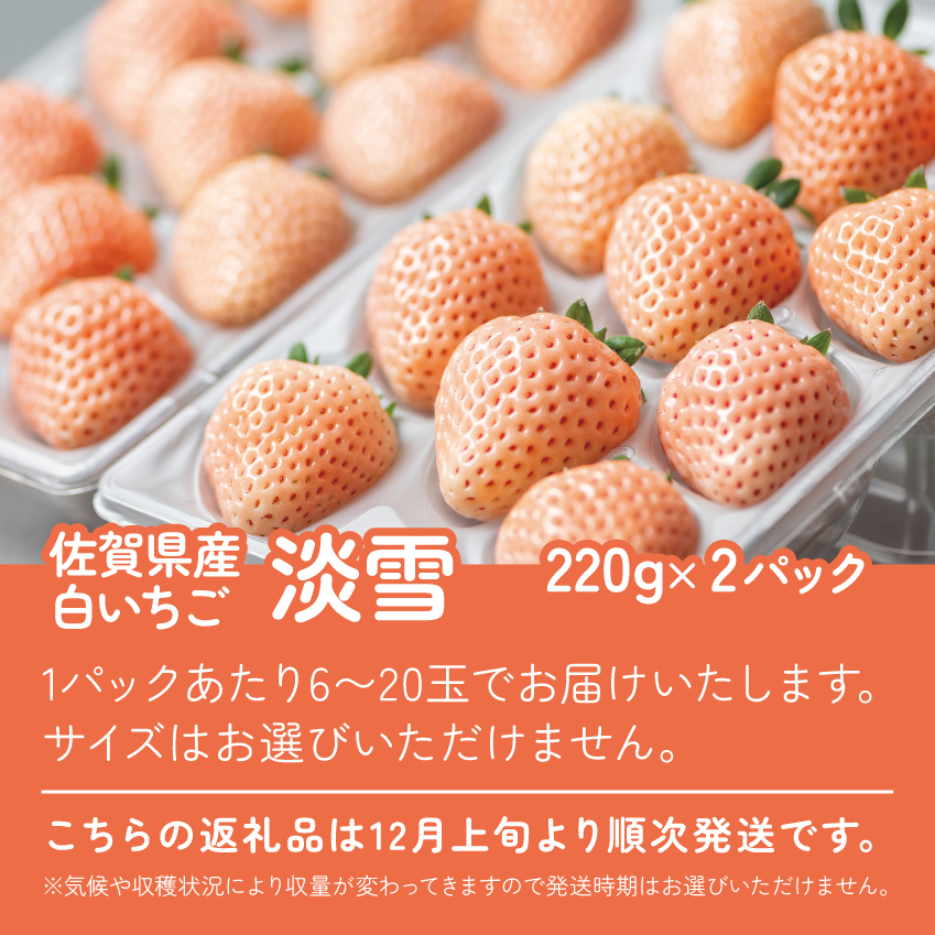 【先行予約】希少価値 佐賀県産 いちご 淡雪 220g×2パック フルーツ 旬 果物 イチゴ 苺 ピンク苺 白いちご 九州 佐賀県 佐賀市 清瀬農園 朝詰み：B140-009