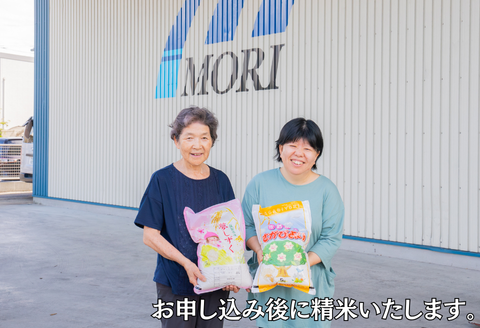 【新米】令和7年 佐賀県産 さがびより白米12kg：B380-001