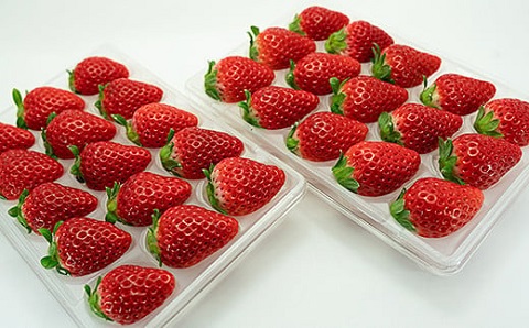 佐賀県産 れんこんとさがほのかのセット：B160-020