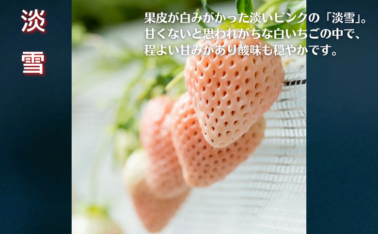 佐賀県産 白いちご 淡雪＆パールホワイト：B180-035
