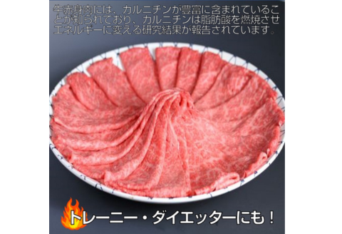 A5等級保証　佐賀牛「赤身肉」モモスライス　400g：B190-006