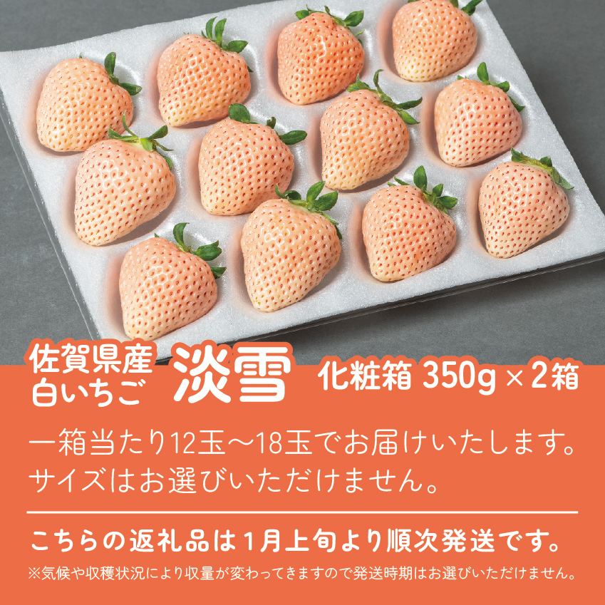 【先行予約】希少価値 佐賀県産 いちご 淡雪 （化粧箱×2箱） フルーツ 果物 旬 苺 白いちご 350g×2P 贈答 化粧箱 ギフト プレゼント 九州 佐賀県 佐賀市 清瀬農園 ：B190-026