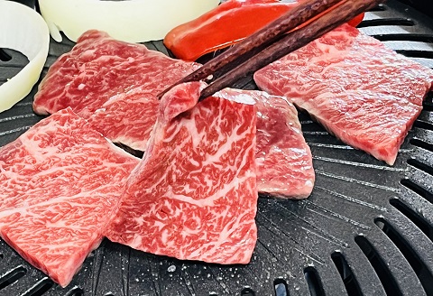 佐賀牛(A5ランクプレミアム) カルビ焼き肉用 500g：B230-003