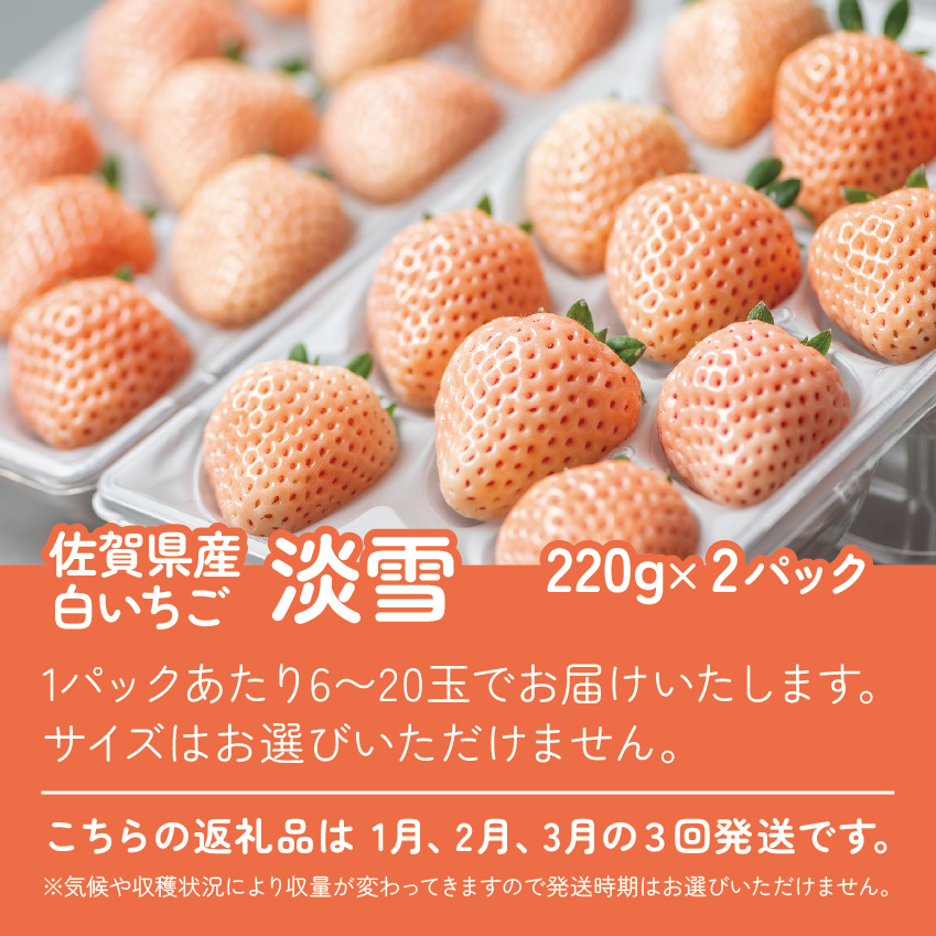 【定期便3回】希少価値 佐賀県産 いちご 淡雪 1~3月発送 フルーツ 果物 定期便 旬 苺 白いちご 九州 佐賀県 佐賀市 清瀬農園 ：B395-008