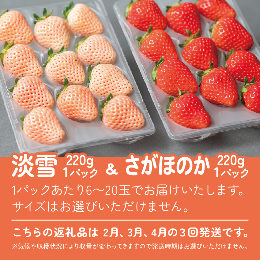 【定期便3回】佐賀県産 紅白いちご 食べ比べ 2~4月発送 淡雪 さがほのか フルーツ 果物 定期便 旬 苺 紅白 白いちご 九州 佐賀県 佐賀市 清瀬農園：B395-011
