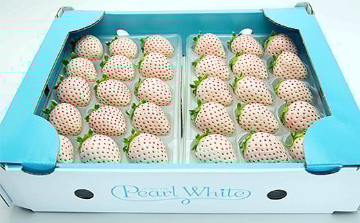 【定期便3回】佐賀県産 いちごとれんこん【1月から3月発送】：B420-001