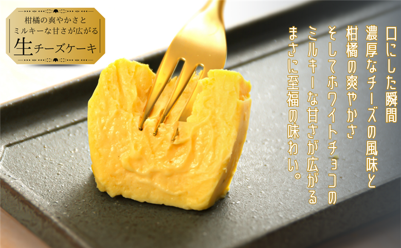 おりしま生チーズケーキ 1個 460g とろける生食感 スイーツ ケーキ チーズケーキ ユニコ うふふ 佐賀市 織島 ：B100-055