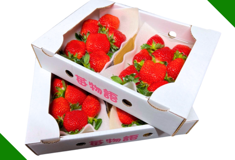 佐賀県産 いちご「かおりの」（250g×4パック）：B110-046