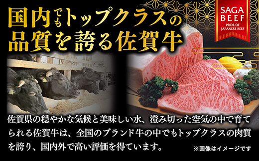 YAMATO 佐賀牛100％ハンバーグ 150g×3個：B115-027