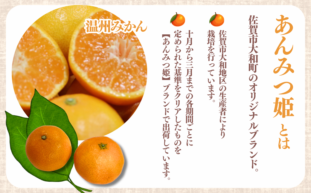 【10～12月発送】数量限定 佐賀みかん あんみつ姫 佐賀市大和町産 温州みかん：B150-075