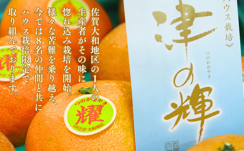 【12月～2月上旬発送】佐賀市大和町産みかん「津の輝」 温州みかん 佐賀みかん 贈答 ギフト：B150-076