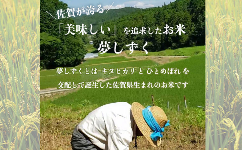 【新米】令和7年産 佐賀県産 夢しずく 5kg 農家直送 お米 コメ こめ：B170-031
