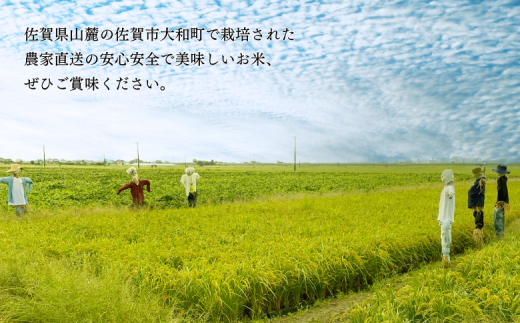 佐賀県大和産「さがびより」5kg 米 農家直送：B170-033
