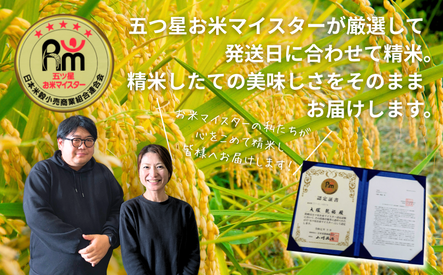 五つ星お米マイスターが厳選！【新米】令和7年産 佐賀県産 さがびより 白米 5kg おこめ 米 ：B175-017