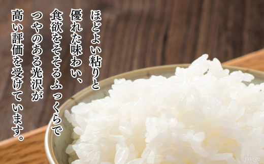 新米 令和7年 佐賀県産「夢しずく」10kg（5kg×2袋）：B240-026