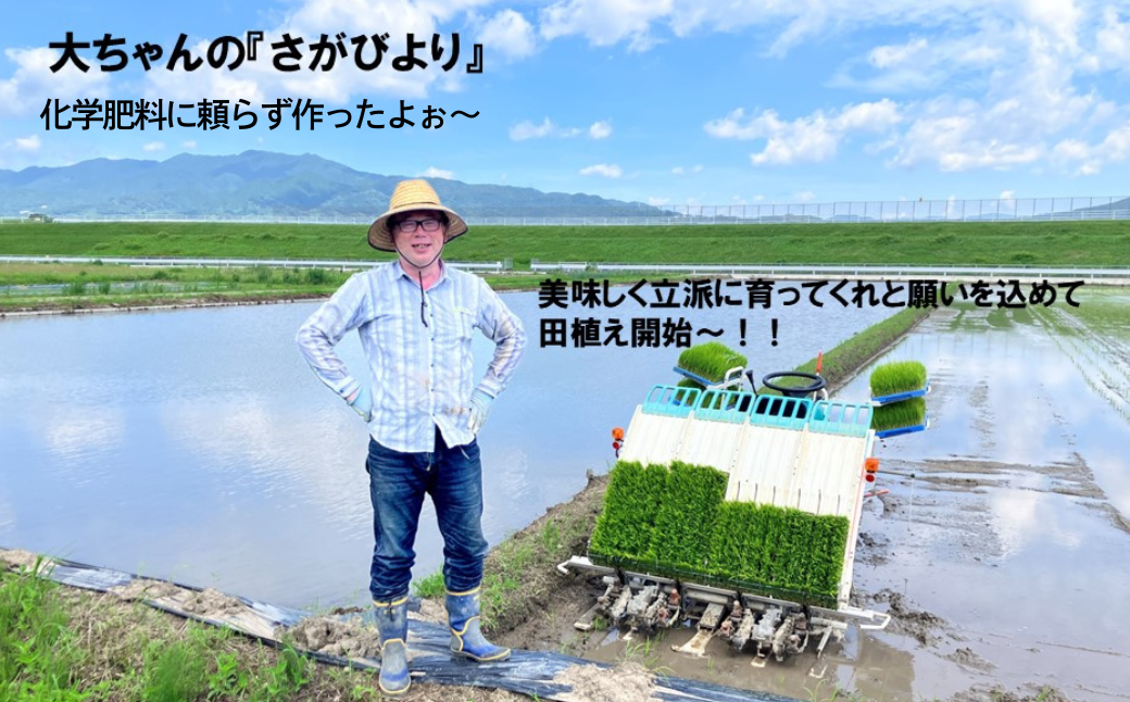 【新米】令和7年産 お米マイスターお勧め『だいちゃんの、さがびより』精米 5kg：B165-012