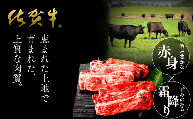 佐賀牛 肩ローススライス 600g：B205-014