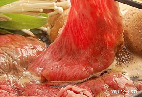 佐賀牛(A5ランクプレミアム) すき焼・しゃぶしゃぶ用 500g：B215-012