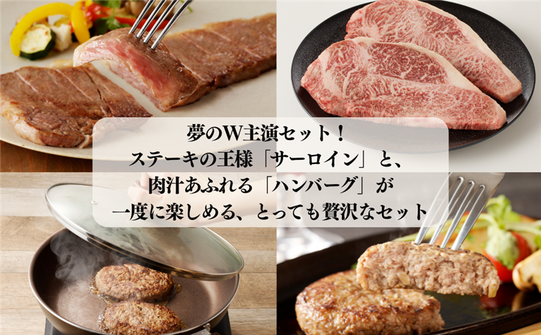 佐賀牛サーロインステーキ 400g・佐賀牛仕込みハンバーグ 4個 セット：B235-020