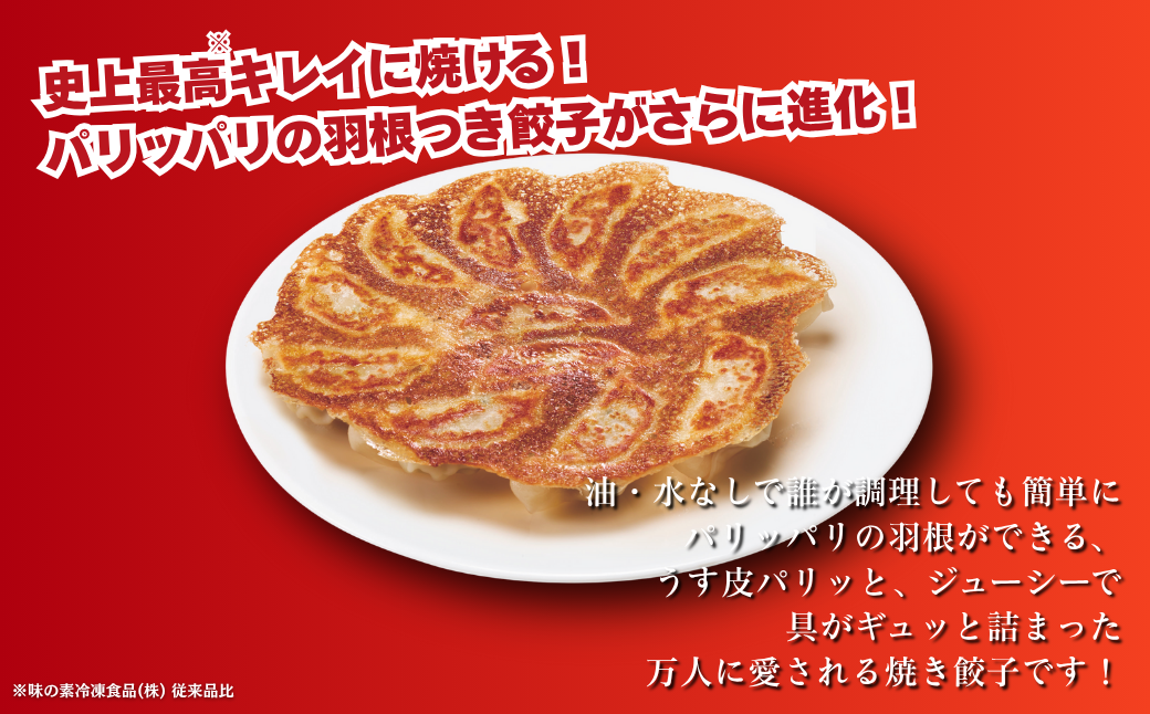 AJINOMOTOギョーザ 20袋 ぎょうざ 240個 味の素 冷凍食品 餃子 簡単調理 加工食品 惣菜 冷凍 佐賀市：B240-024