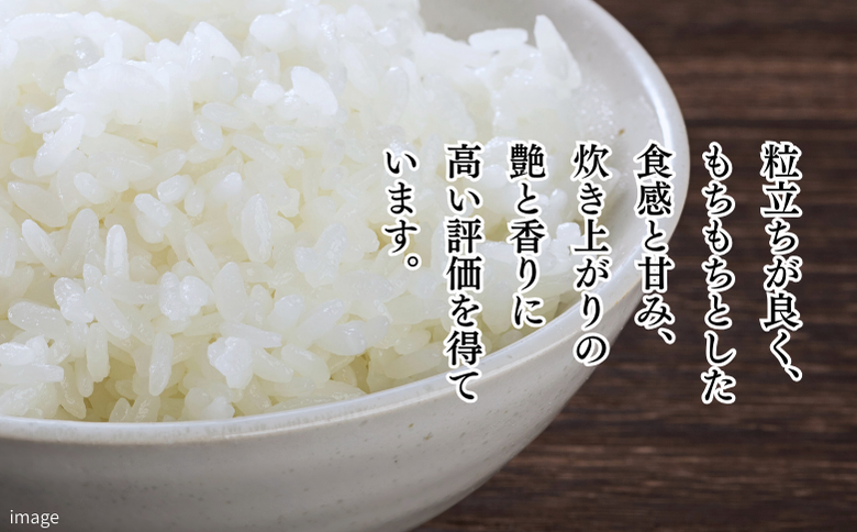 新米 令和7年 佐賀県産「さがびより」10kg（5kg×2袋）：B240-027