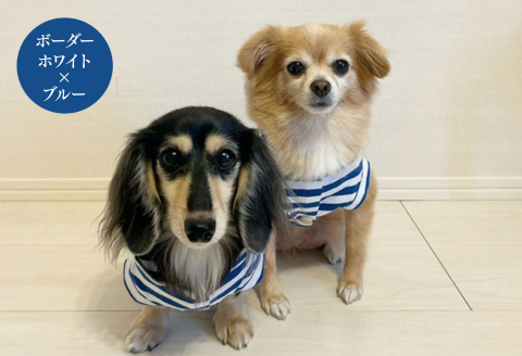 オーナー様とお揃いで着れるボーダーパーカー：B250-016