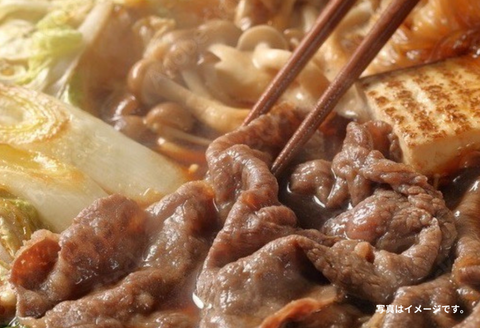 佐賀牛(A5ランクプレミアム) 赤身切り落とし 500g×2P（計1kg）：B270-011