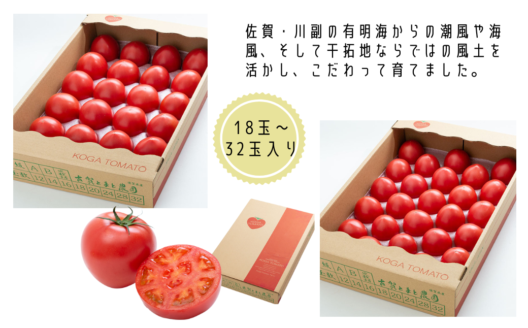 【期間限定】栄養価コンテストでグランプリを受賞した「古賀とまと」 3月～5月発送 トマト 野菜 産地直送 佐賀県 佐賀市：B290-008