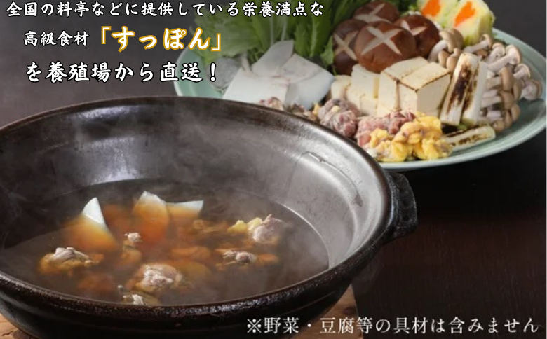 【切り身のみ】栄養満点の「いとやますっぽん」ですっぽん鍋を 500g 佐賀県産 スッポン 冷凍 鍋 カット済み 国産 簡単調理 美容 健康 コラーゲン 九州 佐賀県 佐賀市 ヤマト水産：B315-010