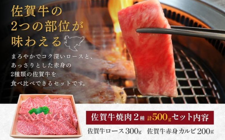 佐賀牛ロース＆佐賀牛赤身カルビ 焼肉用 500g 牛肉 黒毛和牛 赤身 カット済 バーベキュー 九州 佐賀県 佐賀市 佐賀丸美屋 焼肉屋：B325-008
