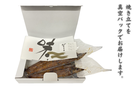 「本庄うなぎ屋」の国産鰻の蒲焼 2尾（2～3人前）：B335-018