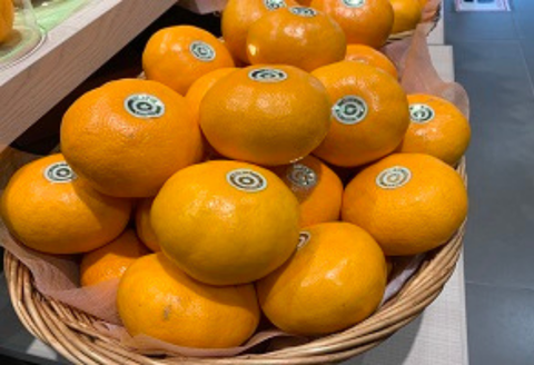 佐賀みかん にじゅうまる：B340-002