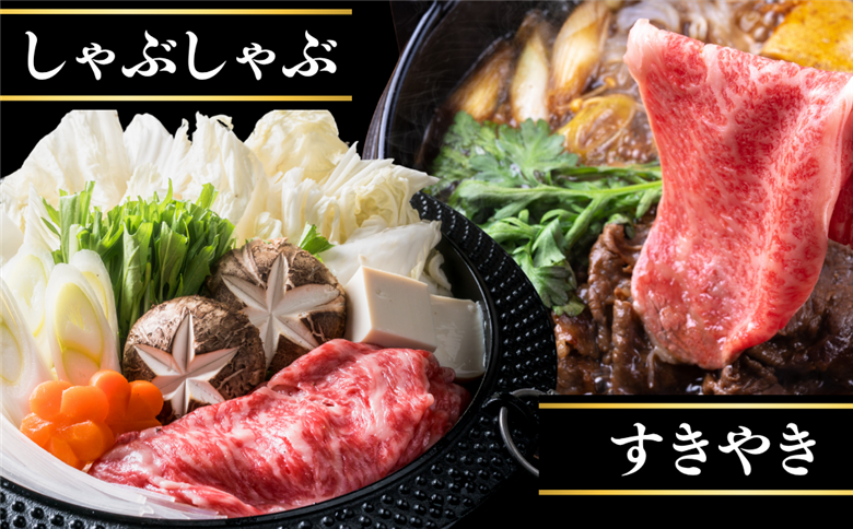 佐賀牛サーロインステーキ 400g・佐賀牛サーロインスライス 300g セット：B355-009