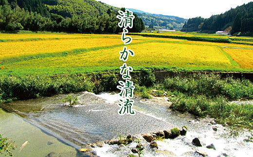 令和7年産 佐賀市三瀬村産「コシヒカリ」20kg（5kg×4袋）：B630-003