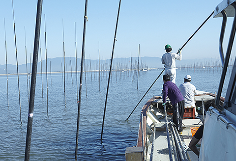 【定期便（3回）1・5・9月発送】初摘み佐賀のり 焼のり堪能5袋セットE：B705-002