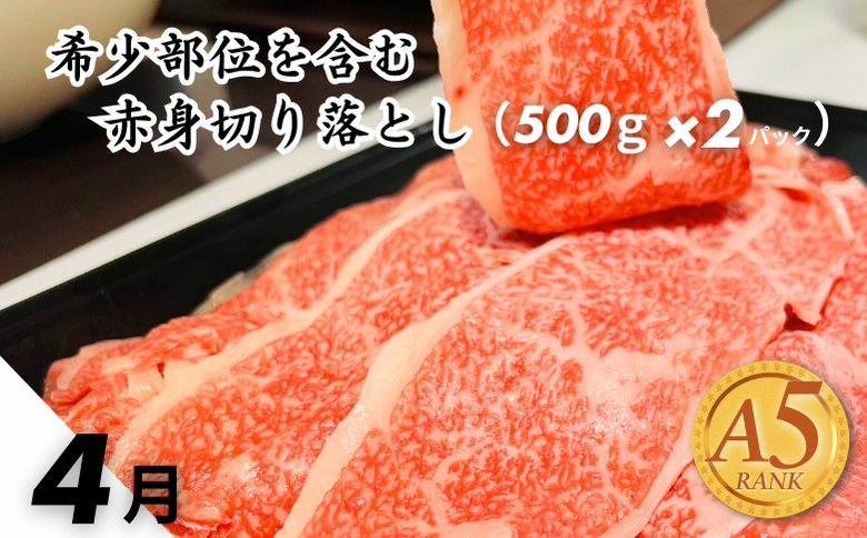 【定期便3回】佐賀牛（プレミアム）彩り定期便 すき焼き しゃぶしゃぶ ステーキ 焼肉 赤身 切り落とし 合計3kg：B875-001