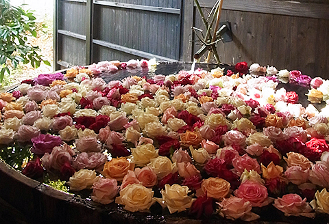 大和屋　日帰り（入浴・昼食付）プラン：B335-013