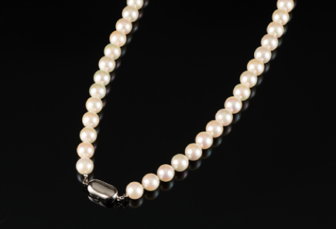 鑑別書付 8～8.5アコヤ真珠ネックレス・イヤリングorピアスセット：C669-001