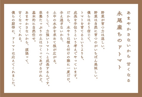【人気】甘さとコクがド級！ドトマト1号：B140-010