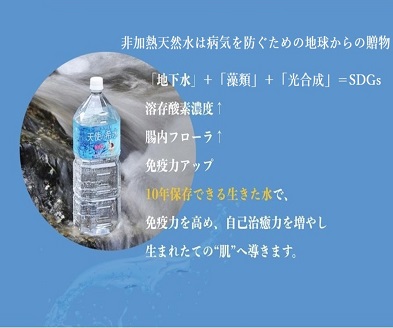 『天使の希水』500ml×24本入り（計12L）：B170-003