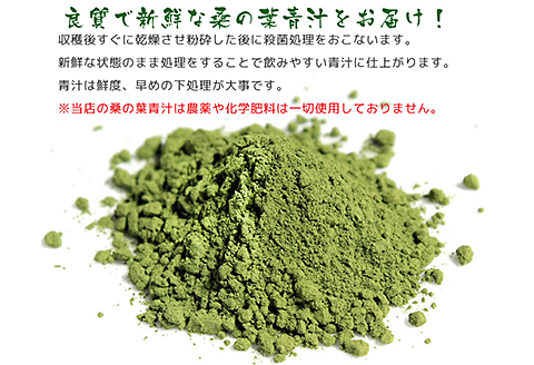 有機栽培 桑の葉青汁（2個セット）：B150-019