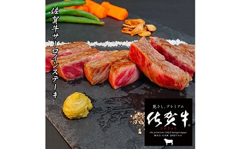 【偶数月定期便（年6回）】佐賀牛ステーキ 250g×2：C172-004