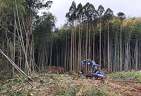火持ちがよい薪「広葉樹」2締め：B110-020