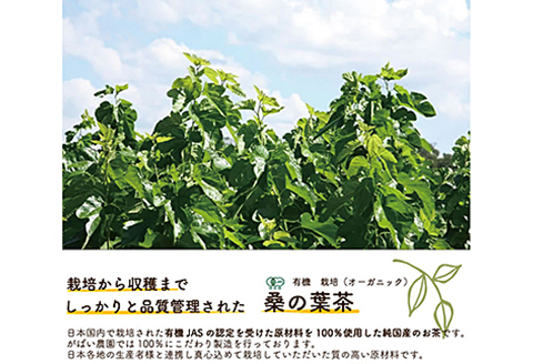 有機栽培 桑の葉茶（3個セット）：B210-003