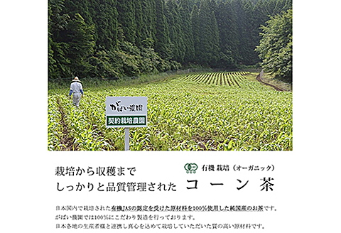 有機栽培 コーン茶（3個セット）：B210-004