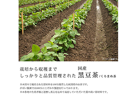 国産 黒豆茶：A085-014