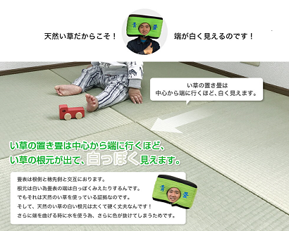 佐賀県産い草置き畳 82cm角1枚セット：B360-003