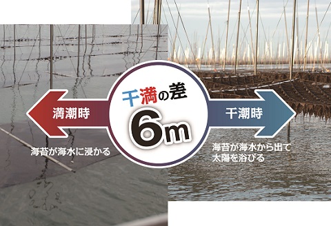 プレミアム佐賀海苔味付のり3袋セット：A095-052